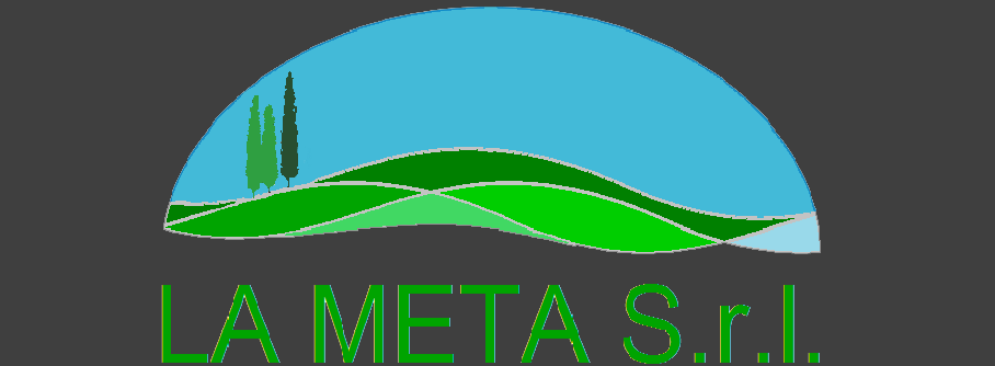 Lametaservizi